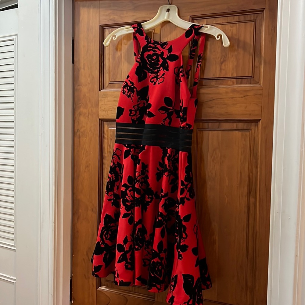 Red and black skater dress